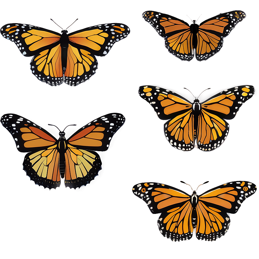 Monarch Butterflies In Spring Png 06252024 PNG