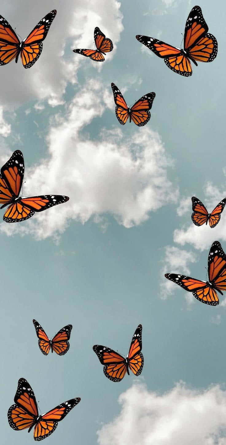 Monarch Butterflies Kaleidoscope In Sky Wallpaper