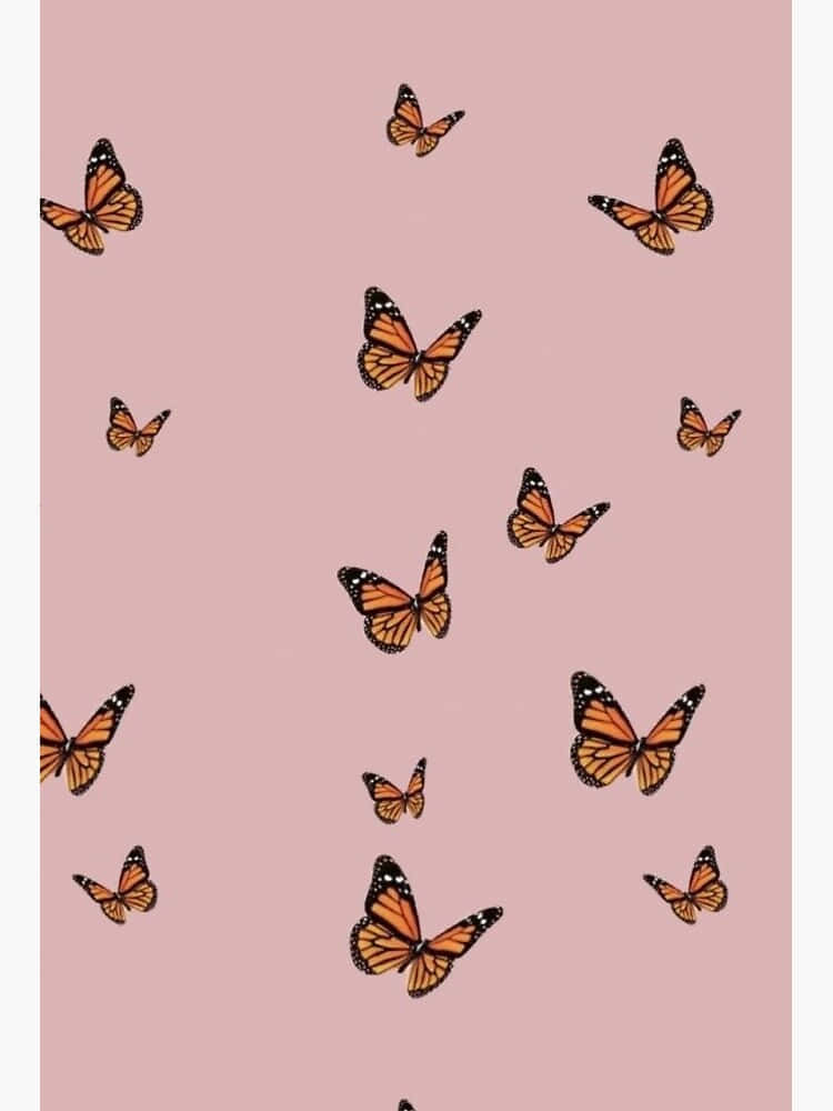 Monarch Butterflies Pink Aesthetic Illustration Wallpaper
