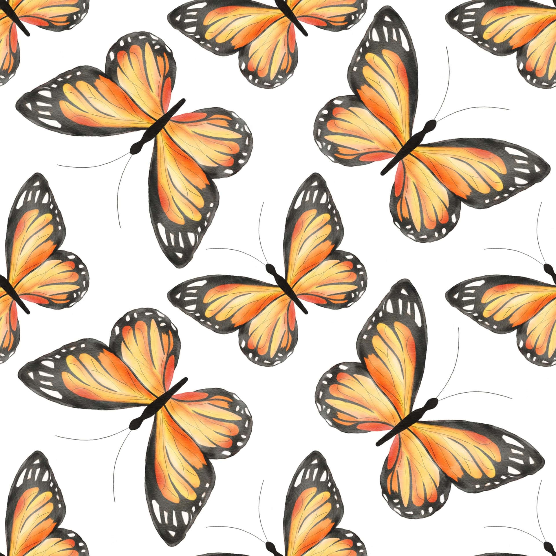 Monarch Butterflies White Aesthetic Illustration Wallpaper