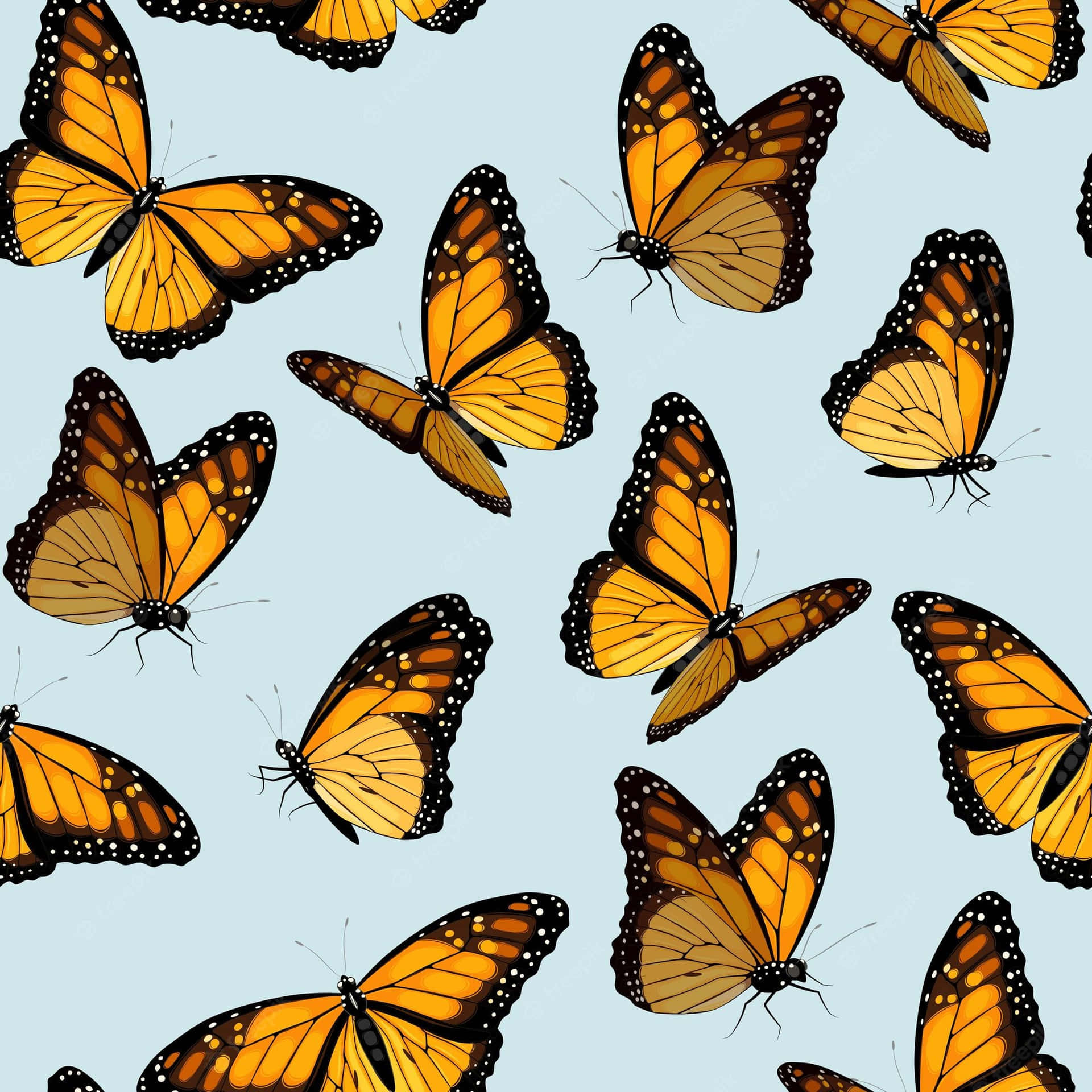 A Monarch Butterfly Enjoying Summer