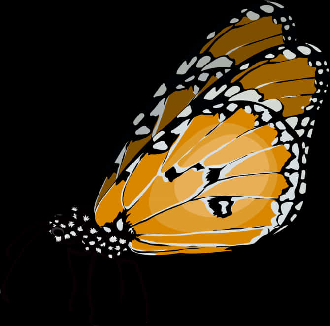 Monarch Butterfly Vector Art PNG