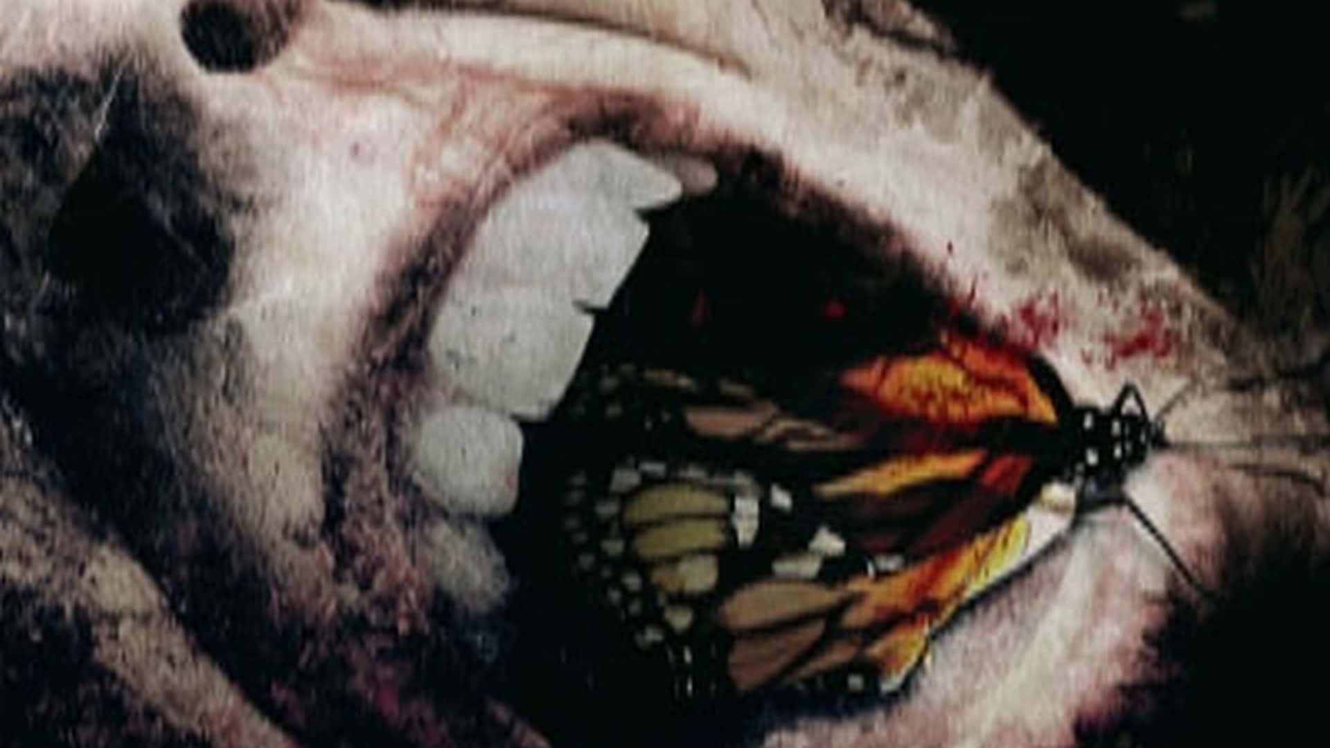 Monarch Butterflyon Skull Painting Wallpaper