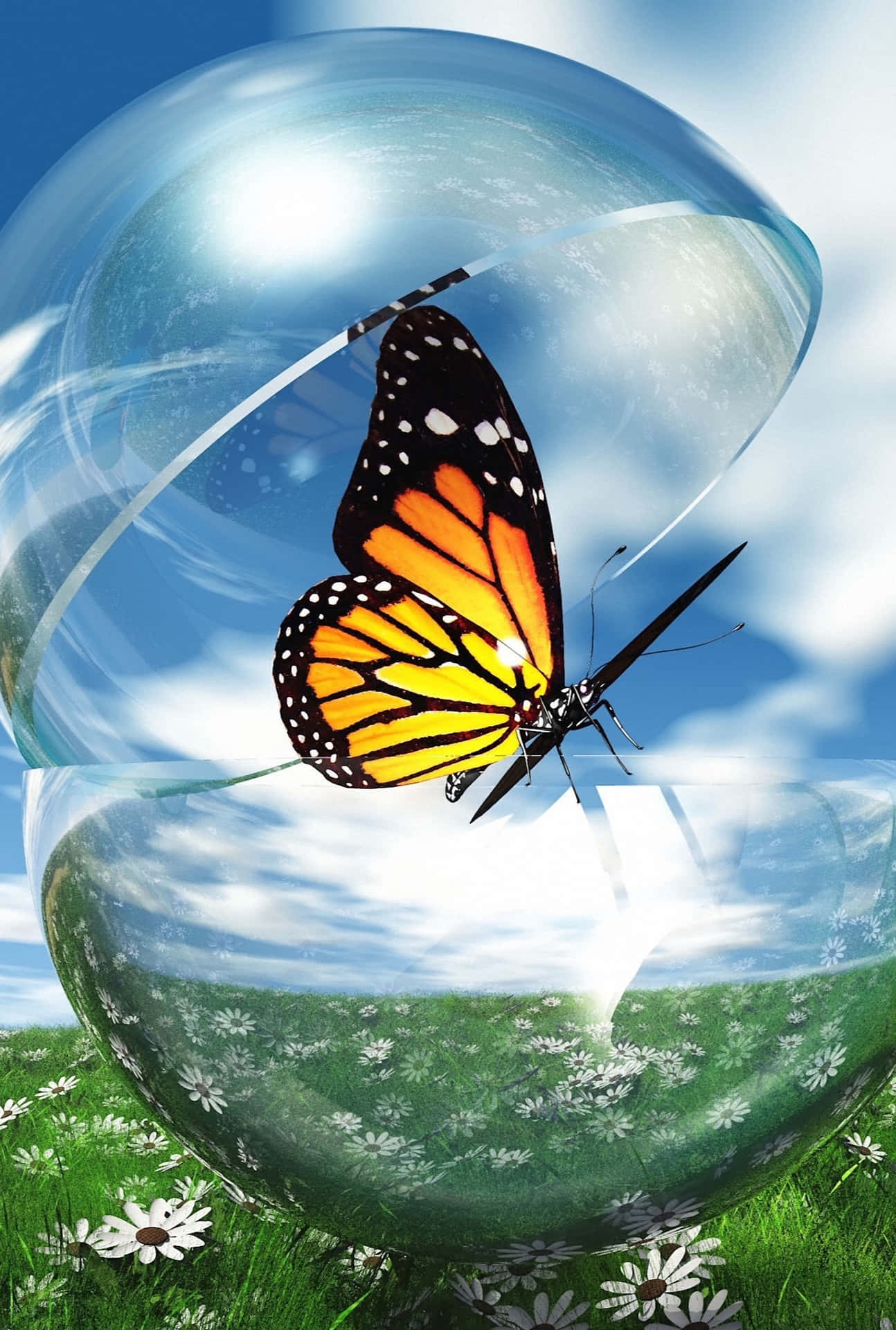 Monarch Butterflyon Transparent Bubbles Wallpaper