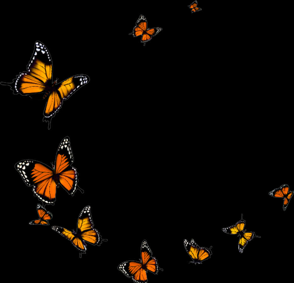 Monarch_ Butterflies_ Black_ Background PNG
