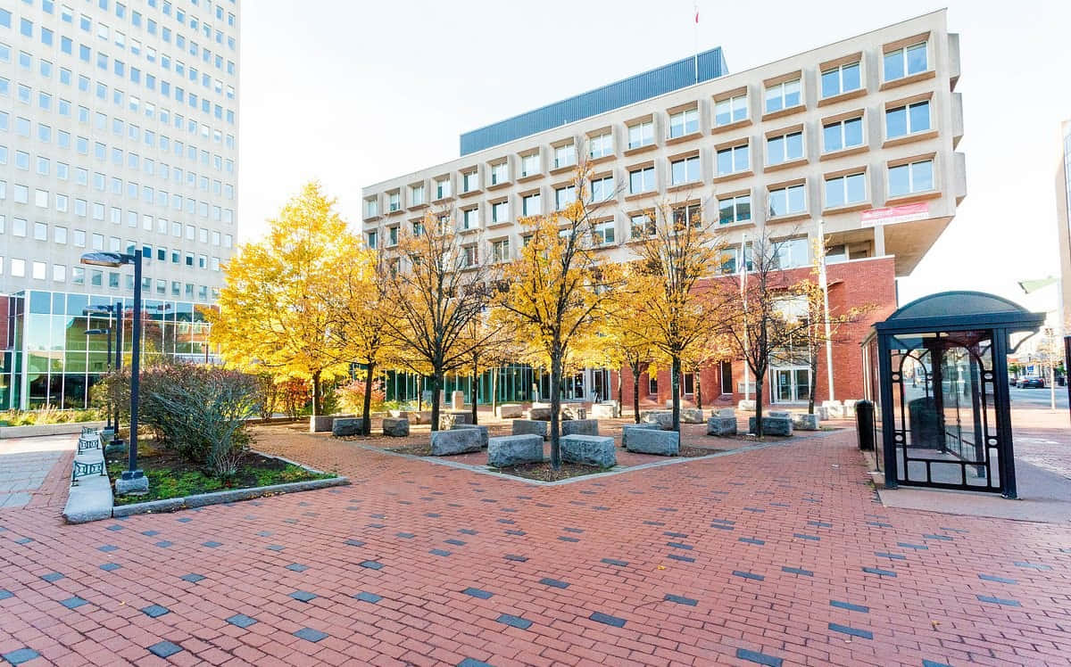 Moncton City Hall Plaza Autumn Wallpaper