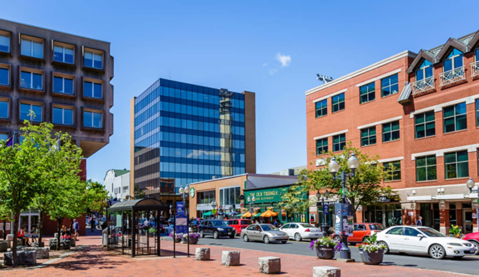 Moncton Downtown Streetscape Wallpaper