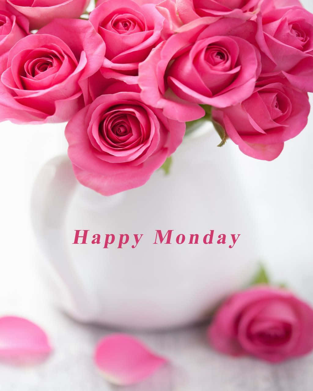 Happy Monday Roses In Vase Photography Picture