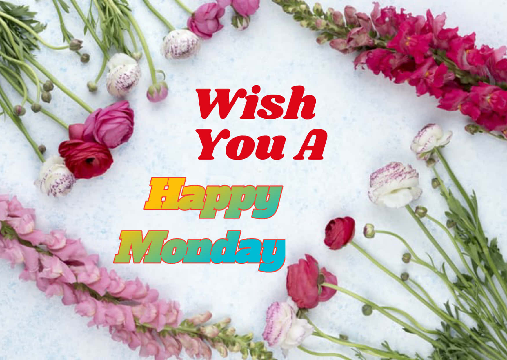 Happy Monday Wishes Flowers Picture