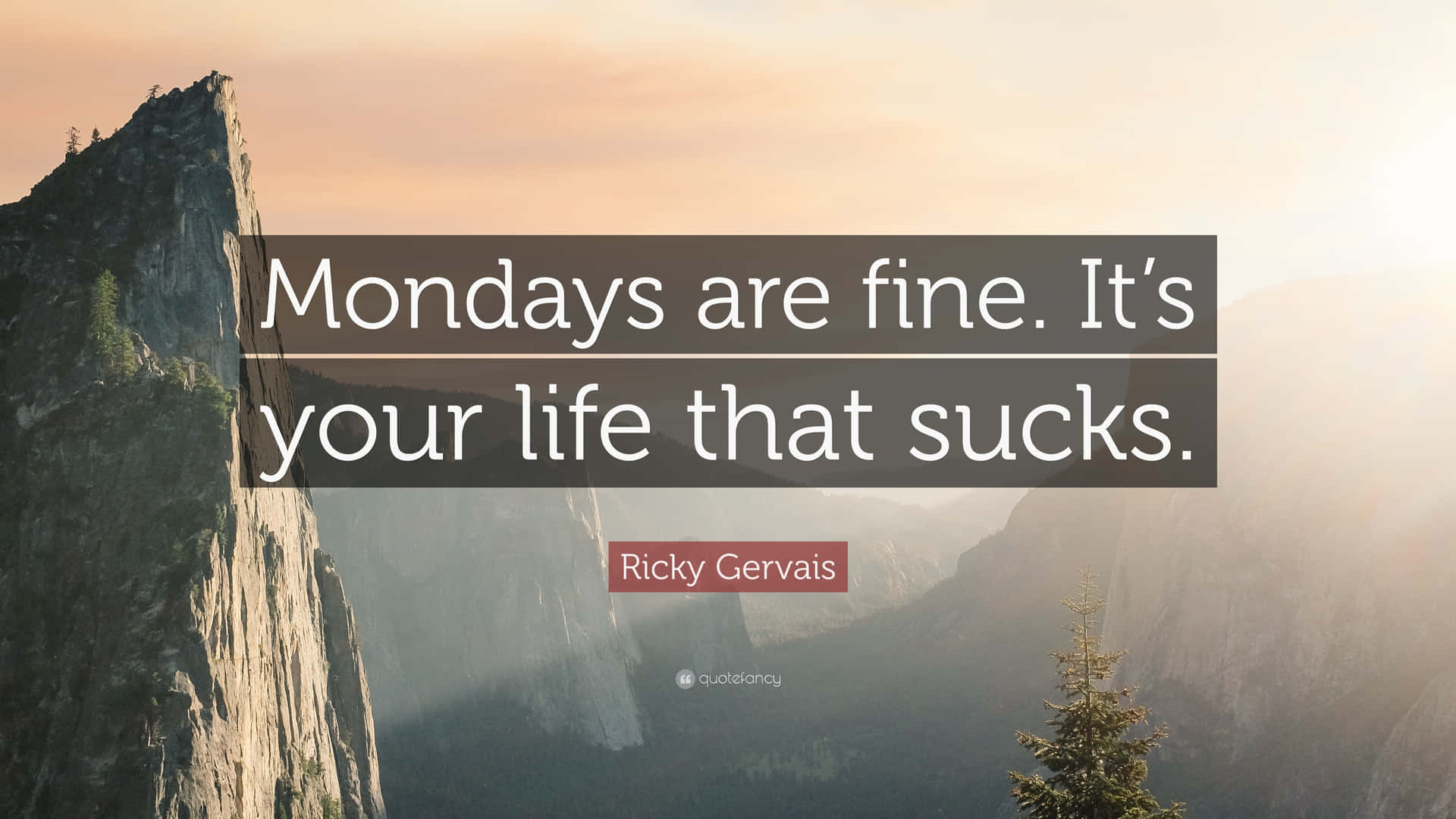 Mondays Are Fine Life Sucks Picture