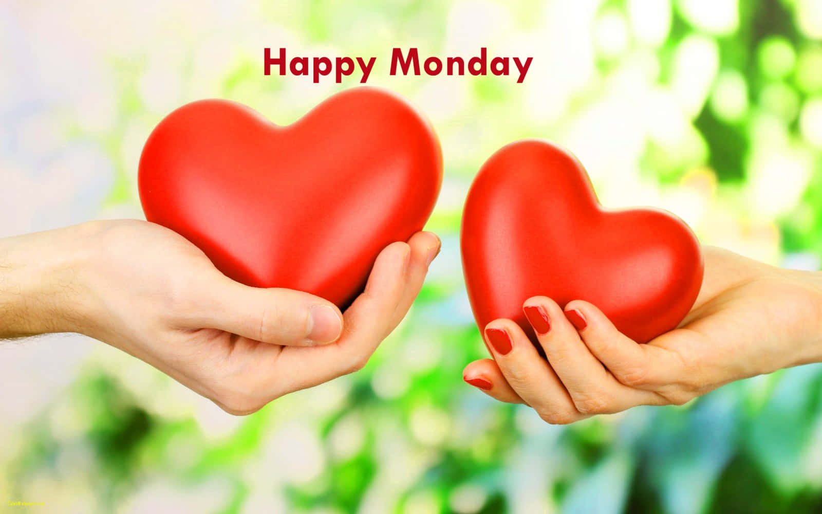 Happy Monday Hands Holding Red Hearts Picture