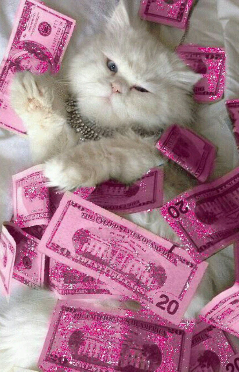 Money Background Cat Pink Aesthetic Bills Wallpaper