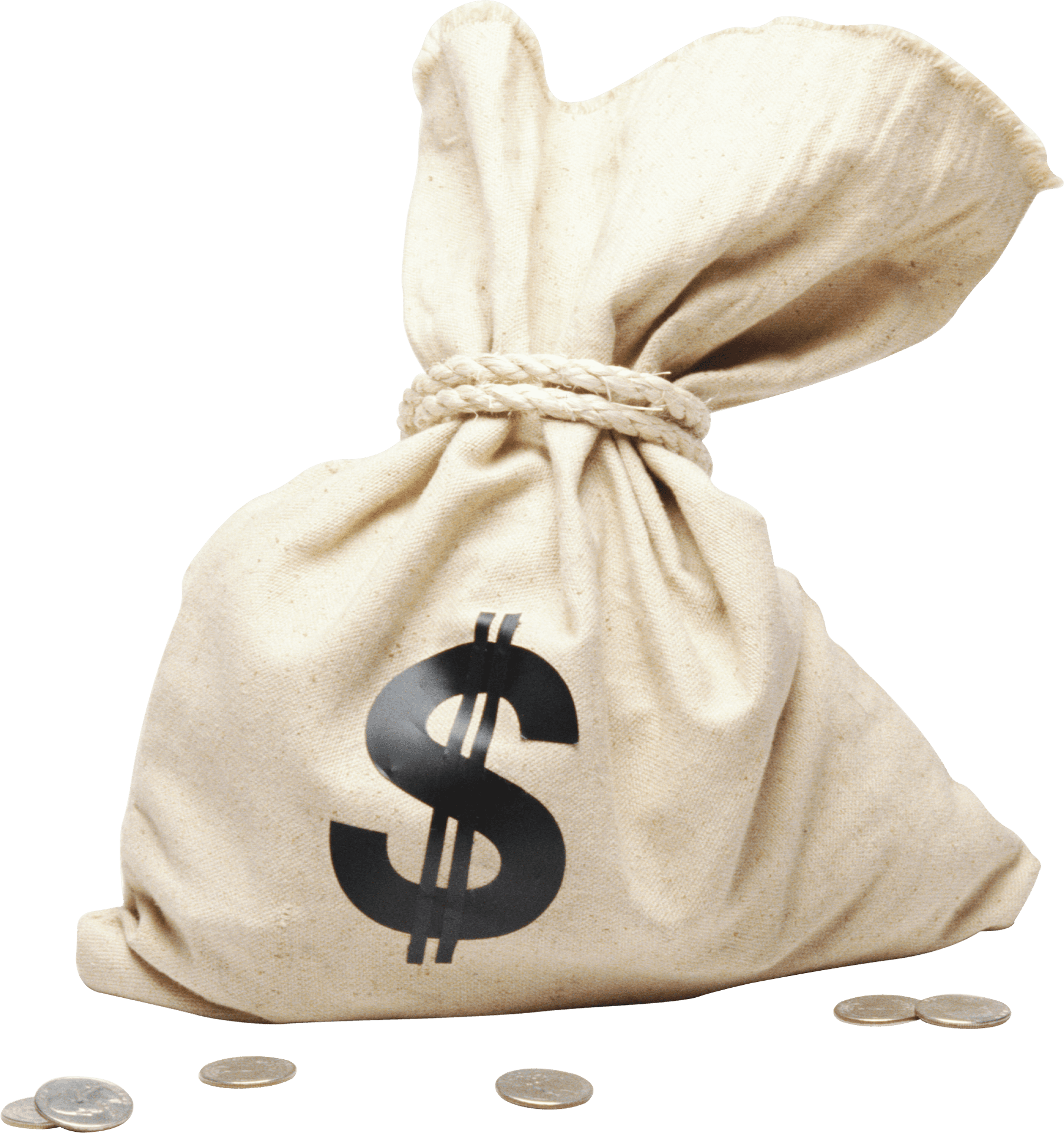 Money Bag Vector Illustration PNG