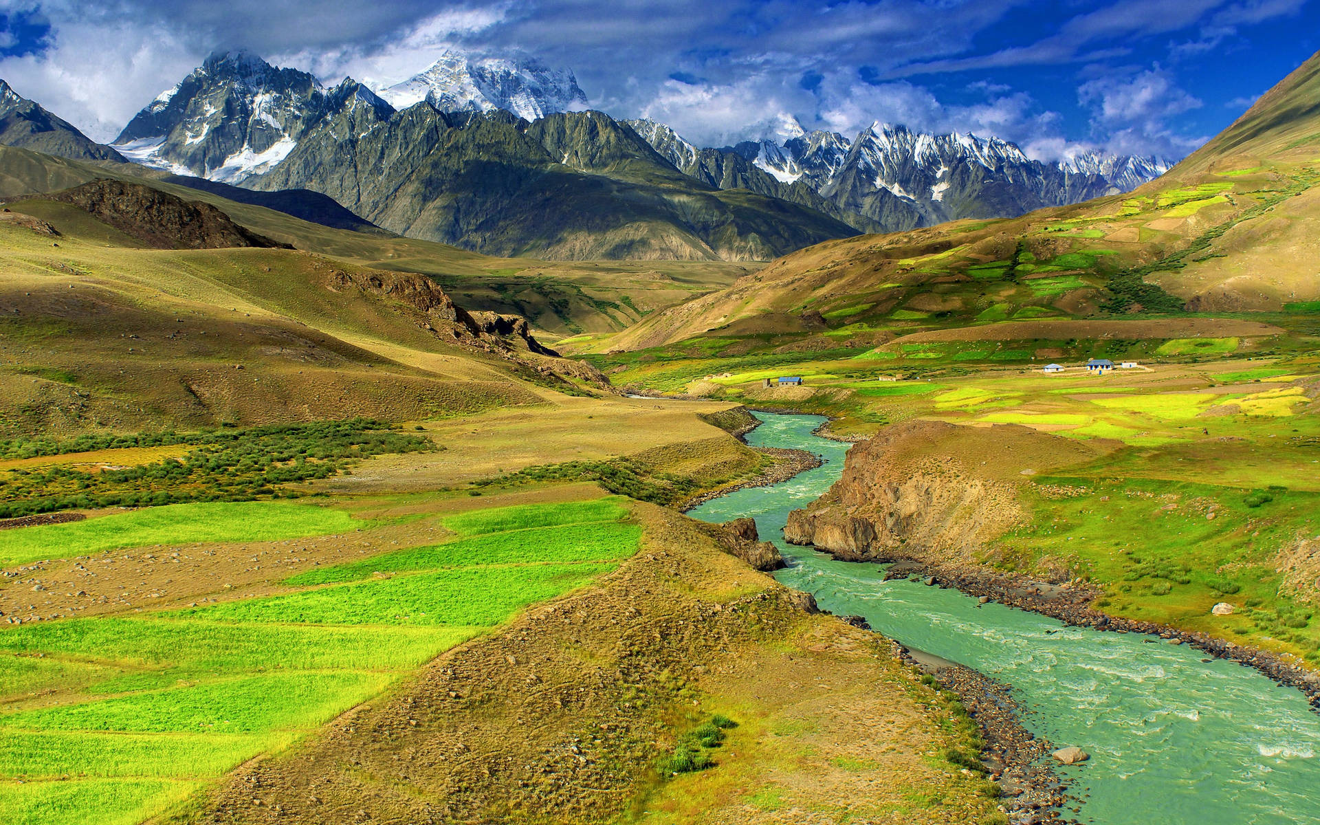 Mongolia Green Mountains