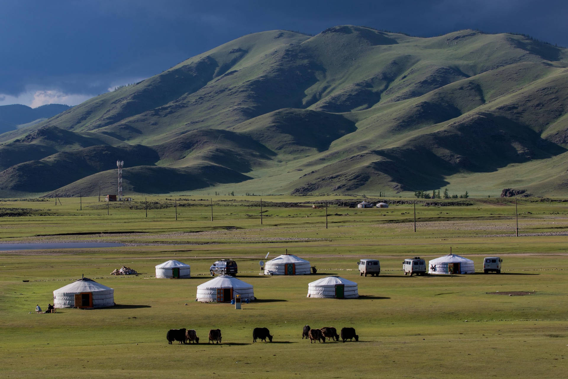 Mongolia Green Plains