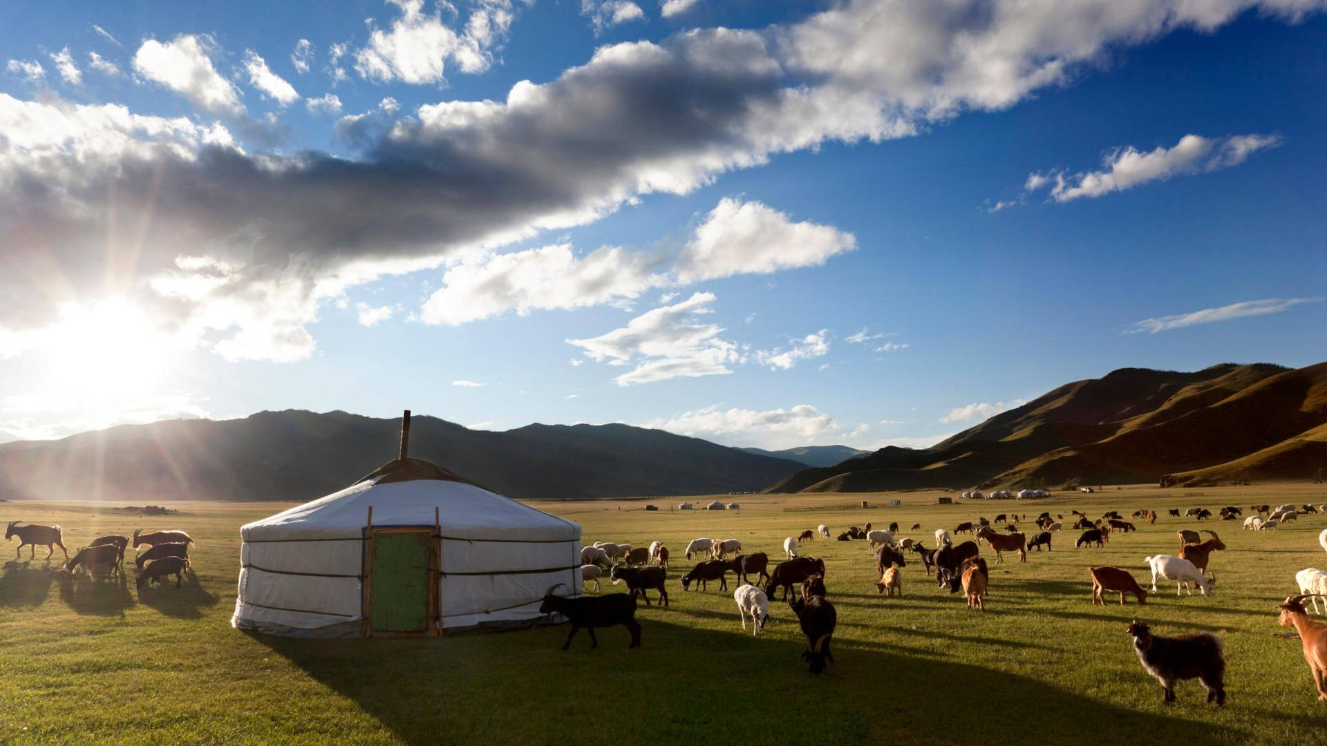 Mongolia's Nomadic House