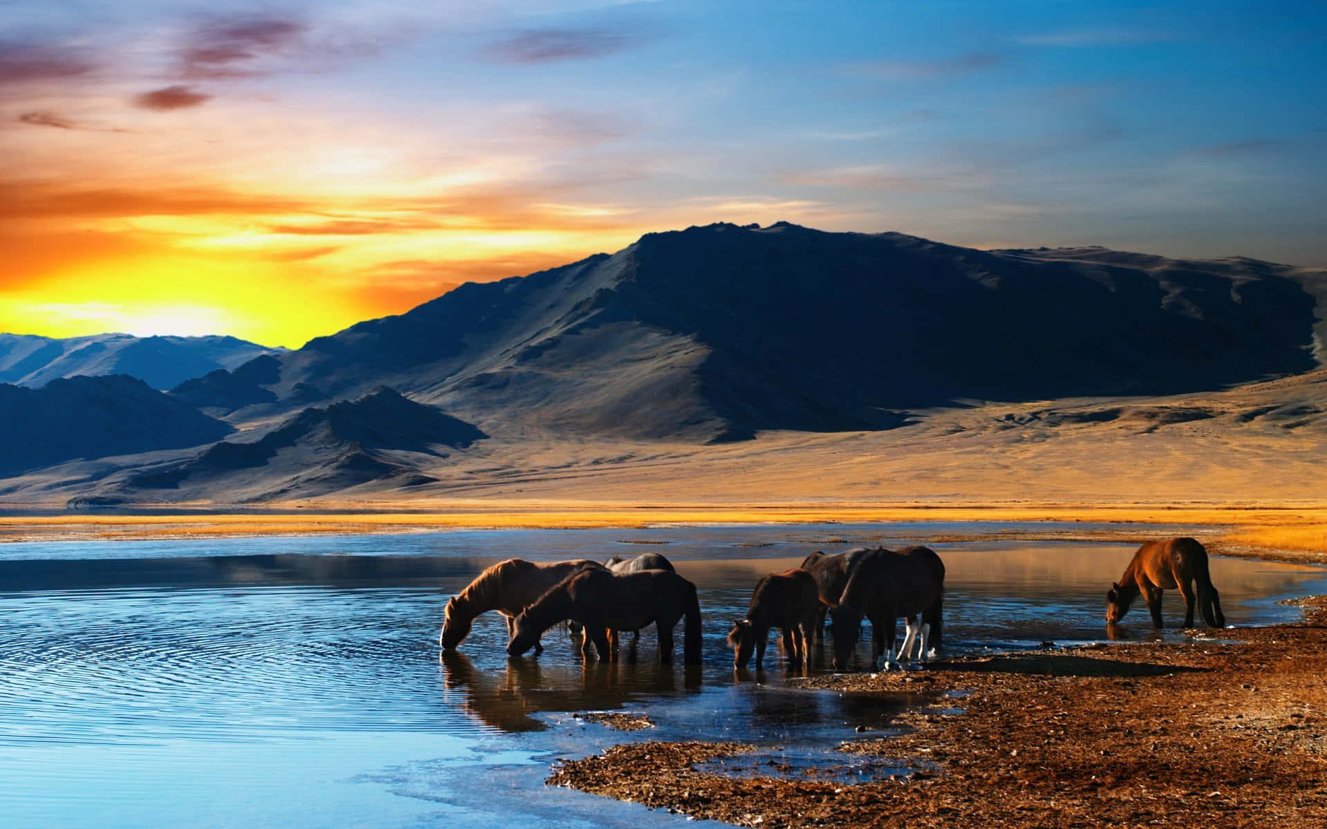 Mongolian Grasslands | Nature's Majesty