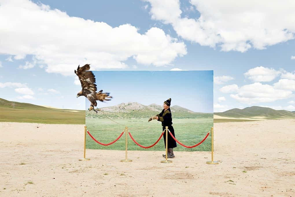 A Man Standing In Front Of A Large Picture Of A Bird