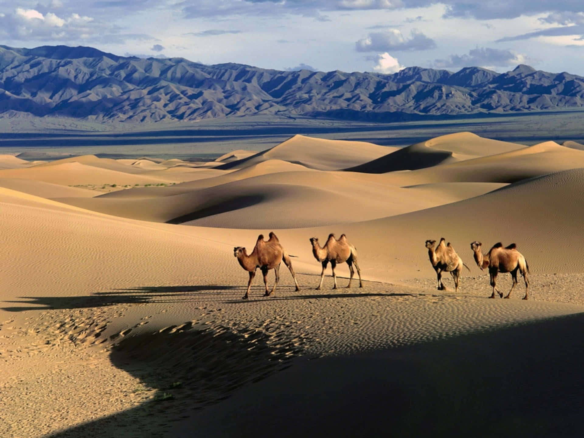 Unavista Mozzafiato Del Paesaggio Mozzafiato Della Mongolia