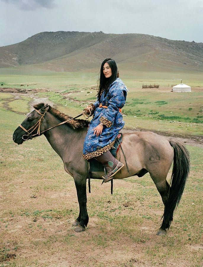Beauty of the Mongolian Landscape