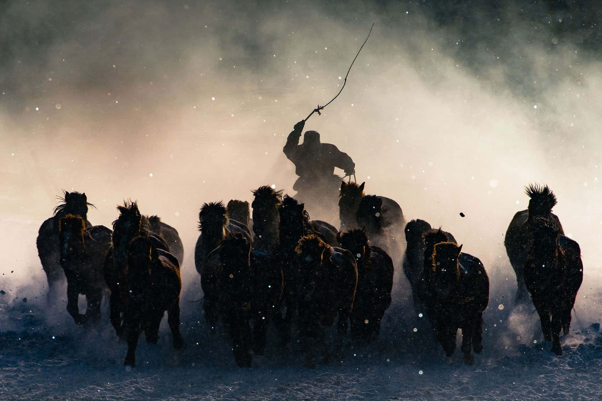 A Man Is Leading A Group Of Horses