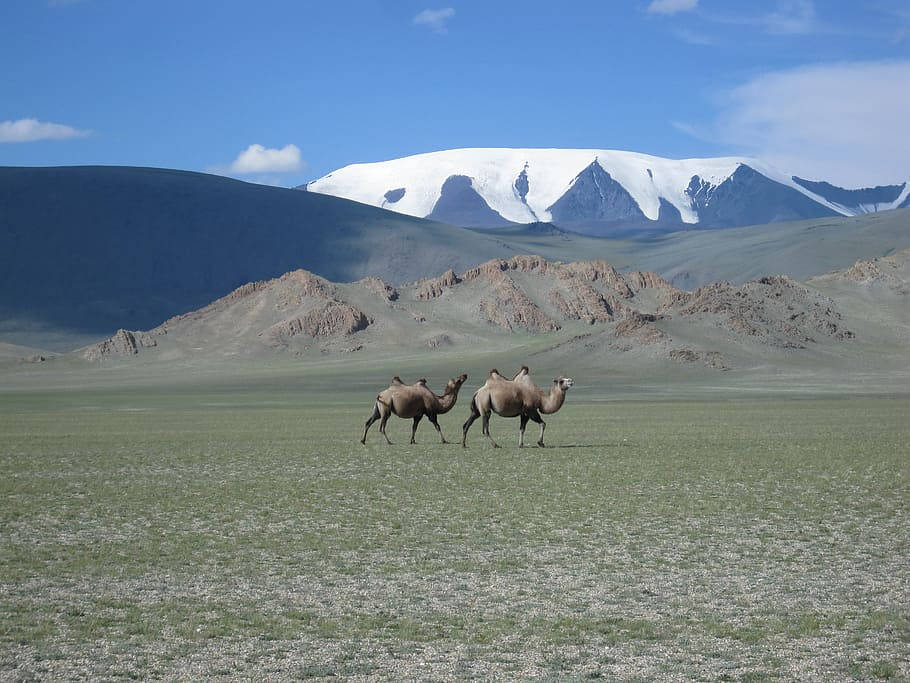 Mongoliets Sutai-bjergene har et dramatisk landskab af tinder, stejle klippesider, løvskove og bølgende terræn. Wallpaper