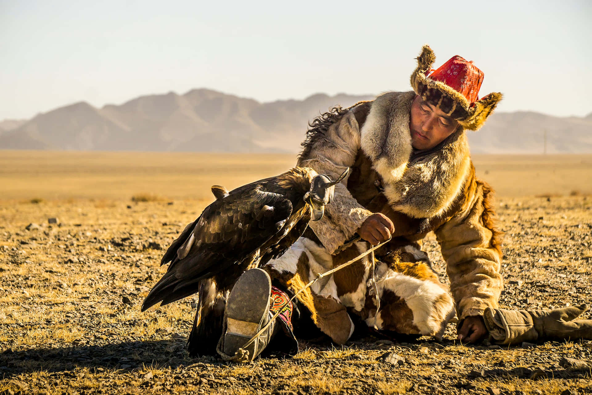 Mongols Mongolian Man Eagle Picture