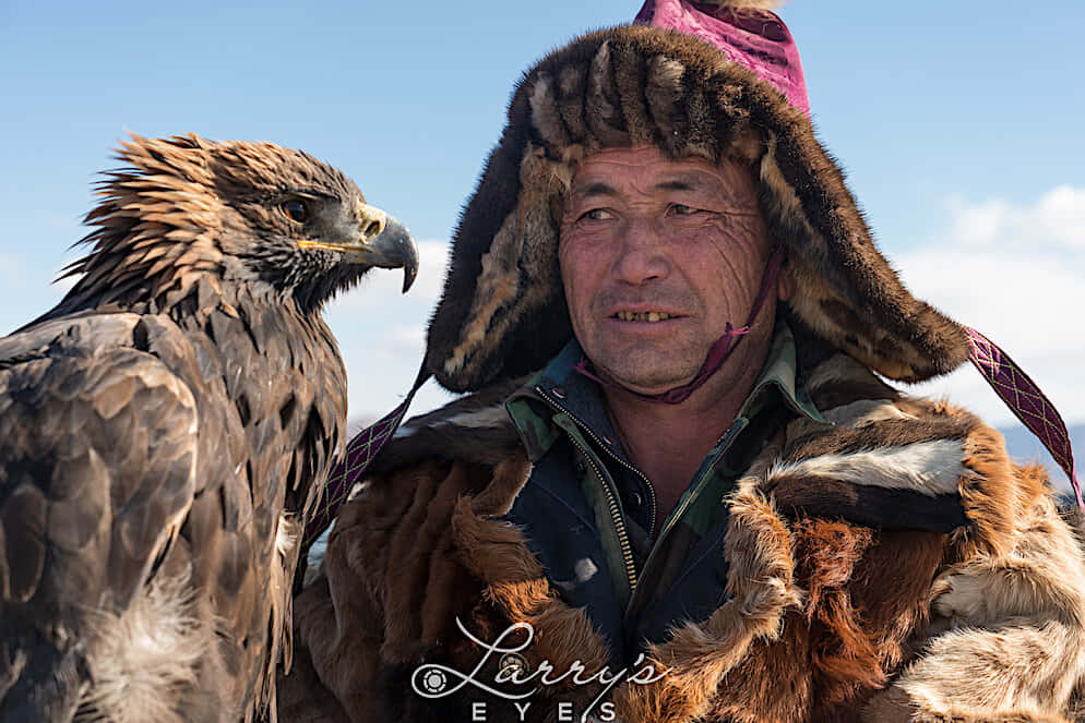 Mongols Wildlife Eagle Hunter Picture