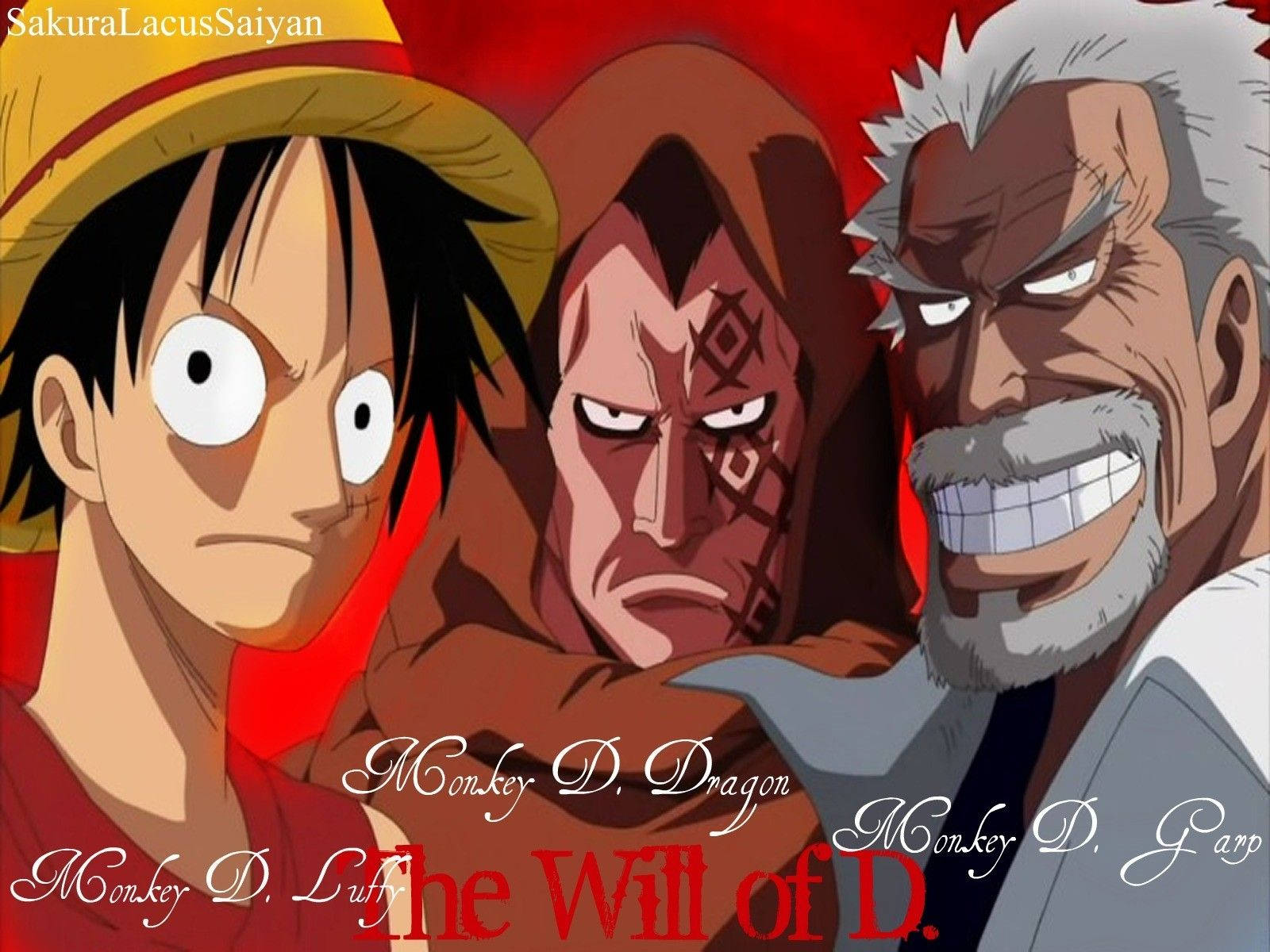 Monkey D Dragon With Luffy