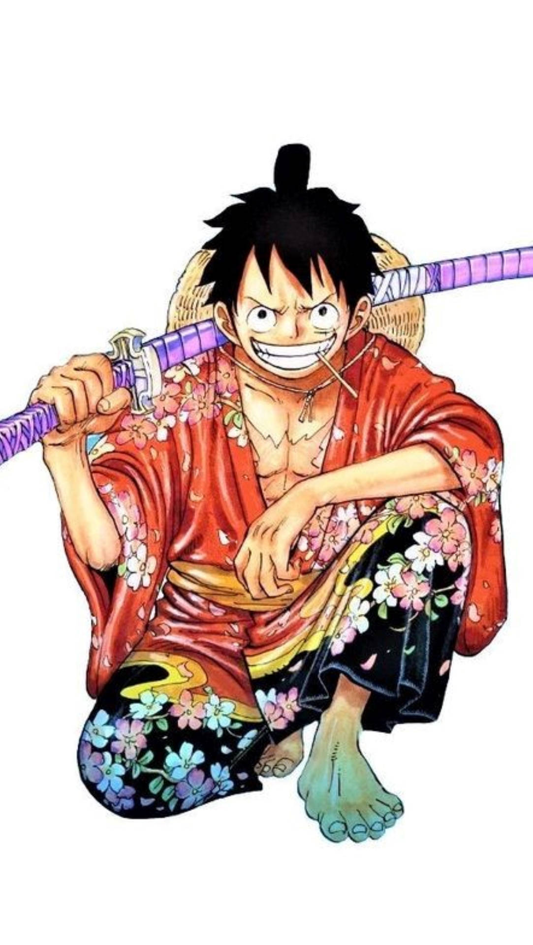 Monkey D Luffy In Zoro Outfit Background