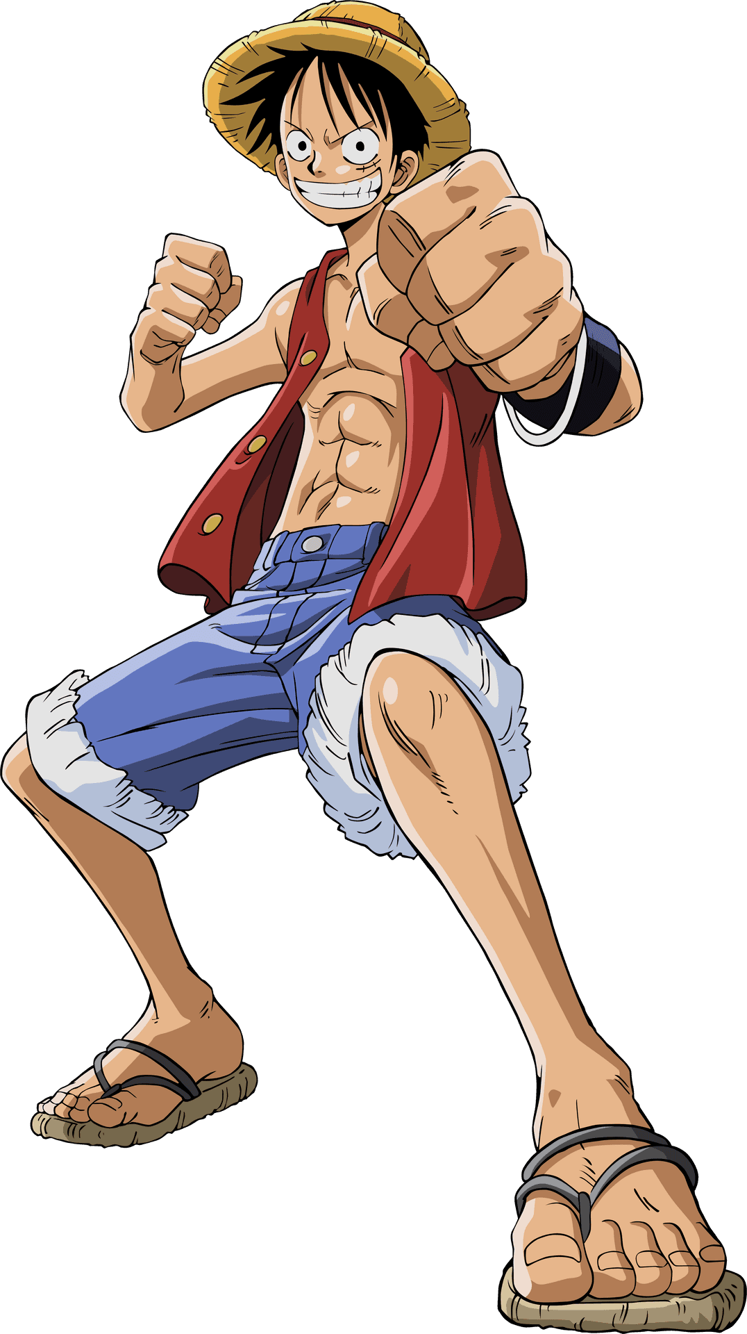 Monkey D Luffy One Piece Anime Pose PNG