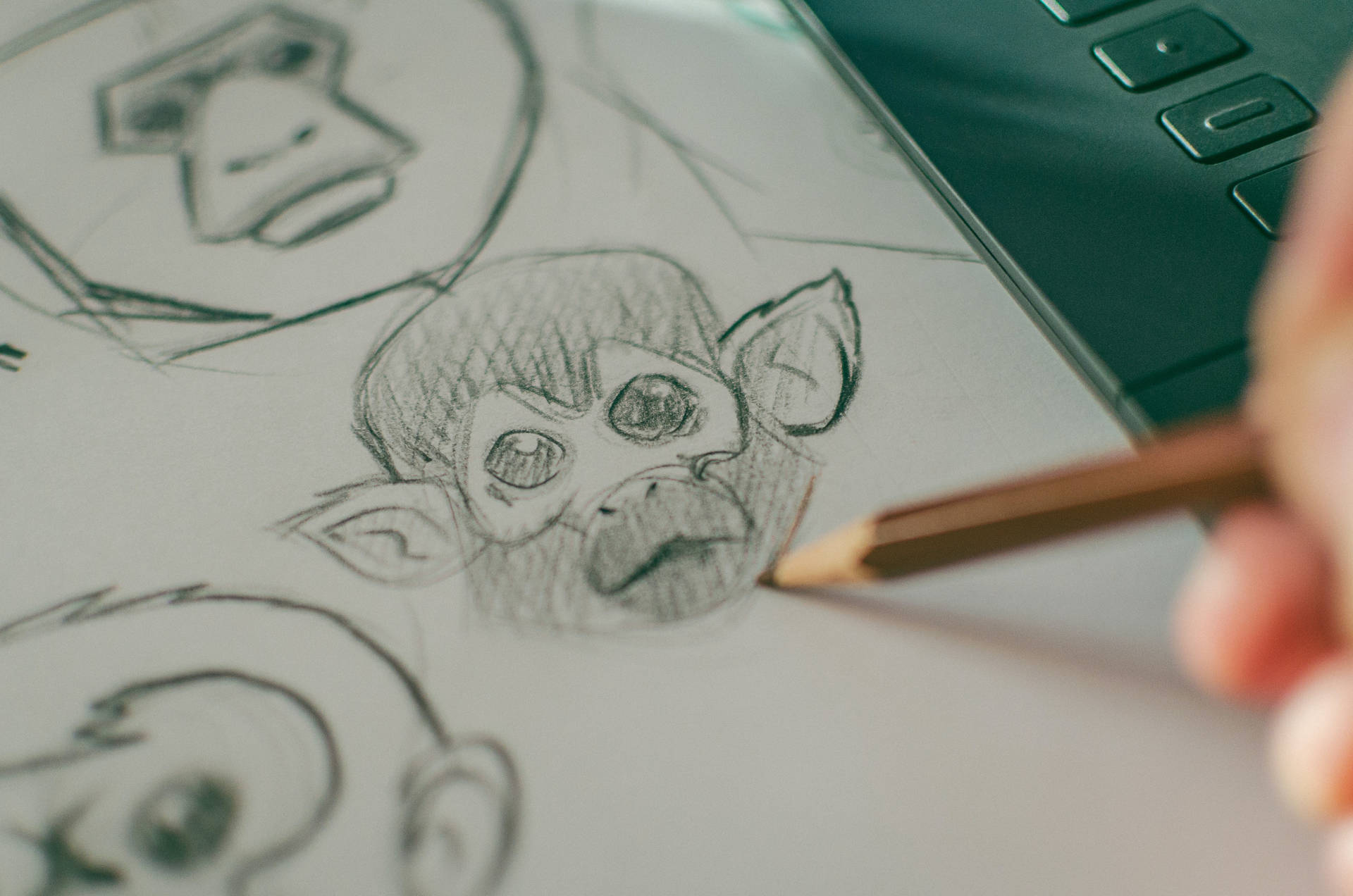 Monkey Head Pencil Drawing Wallpaper
