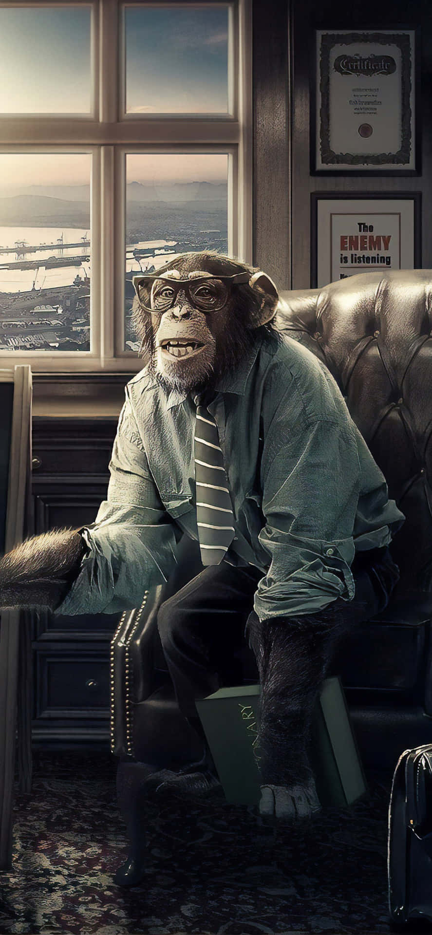 A Monkey Sitting In A Chair Wallpaper