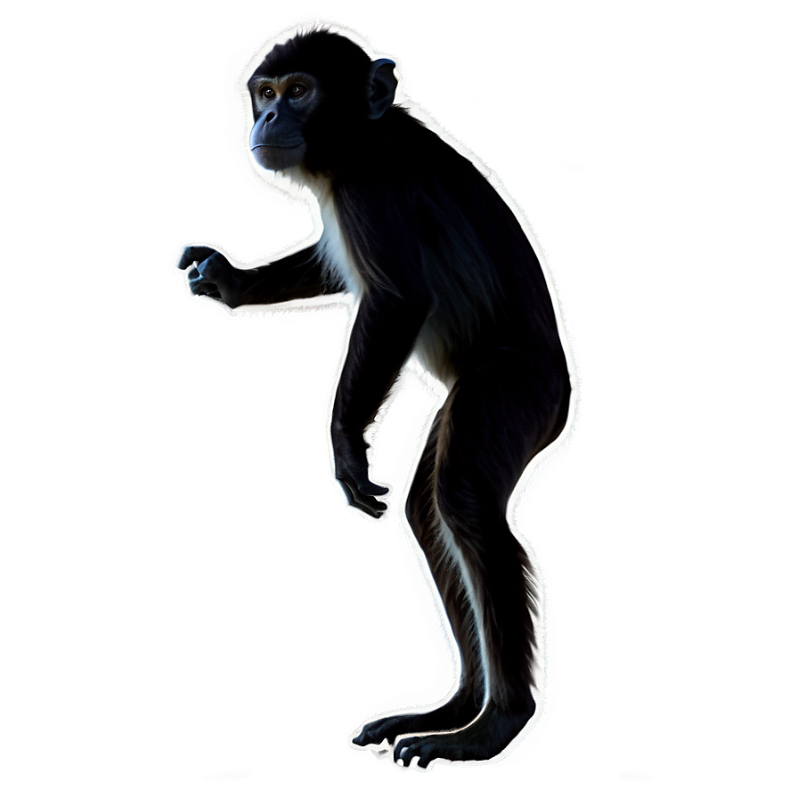 Monkey Silhouette Png 39 PNG