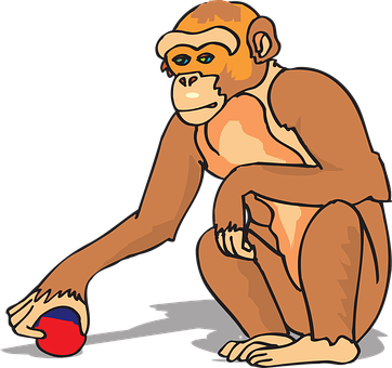 Monkey Touching Red Blue Ball PNG