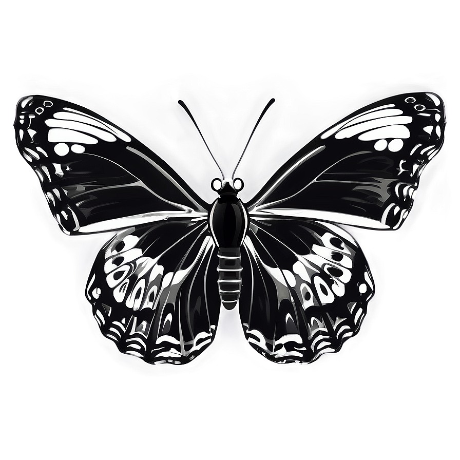 Mono Butterfly Illustration Png Yff PNG