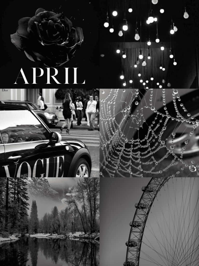 Monochrome April Collage Wallpaper