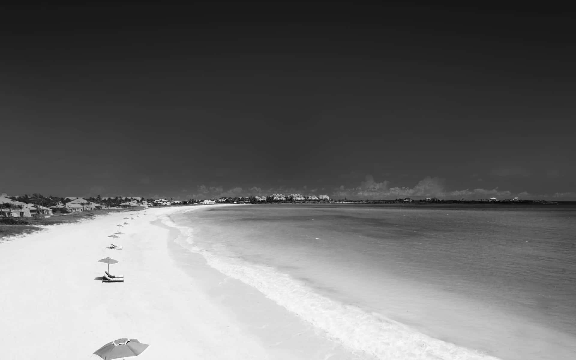 Monochrome Beachscape Serenity Wallpaper