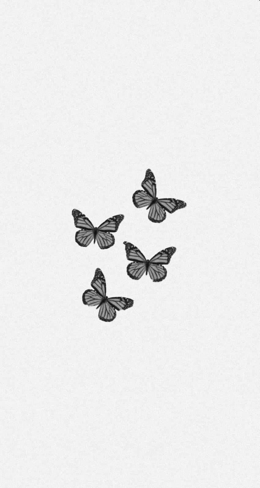 Monochrome Butterfly Cluster Wallpaper