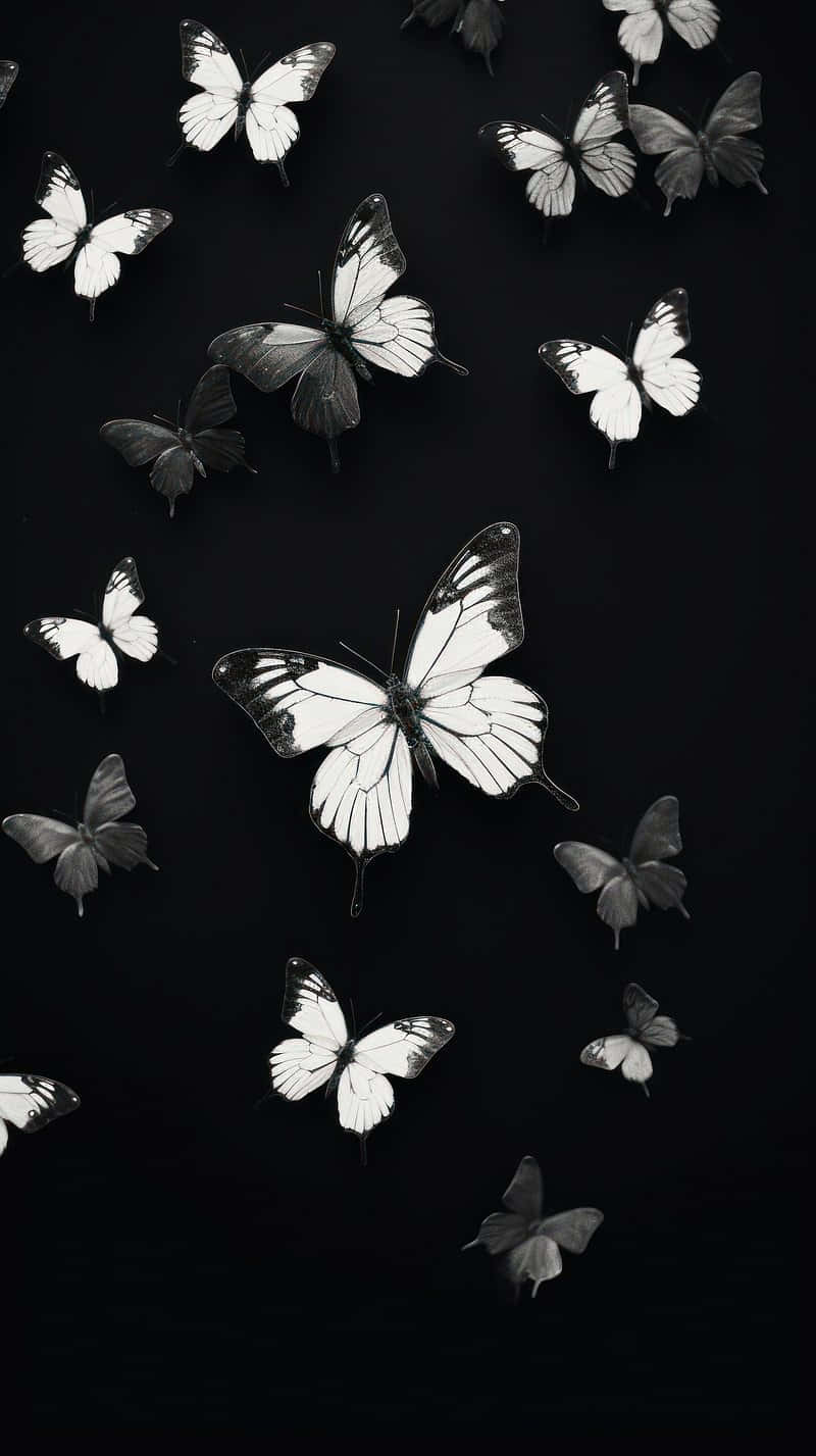 Monochrome Butterfly Flight Wallpaper