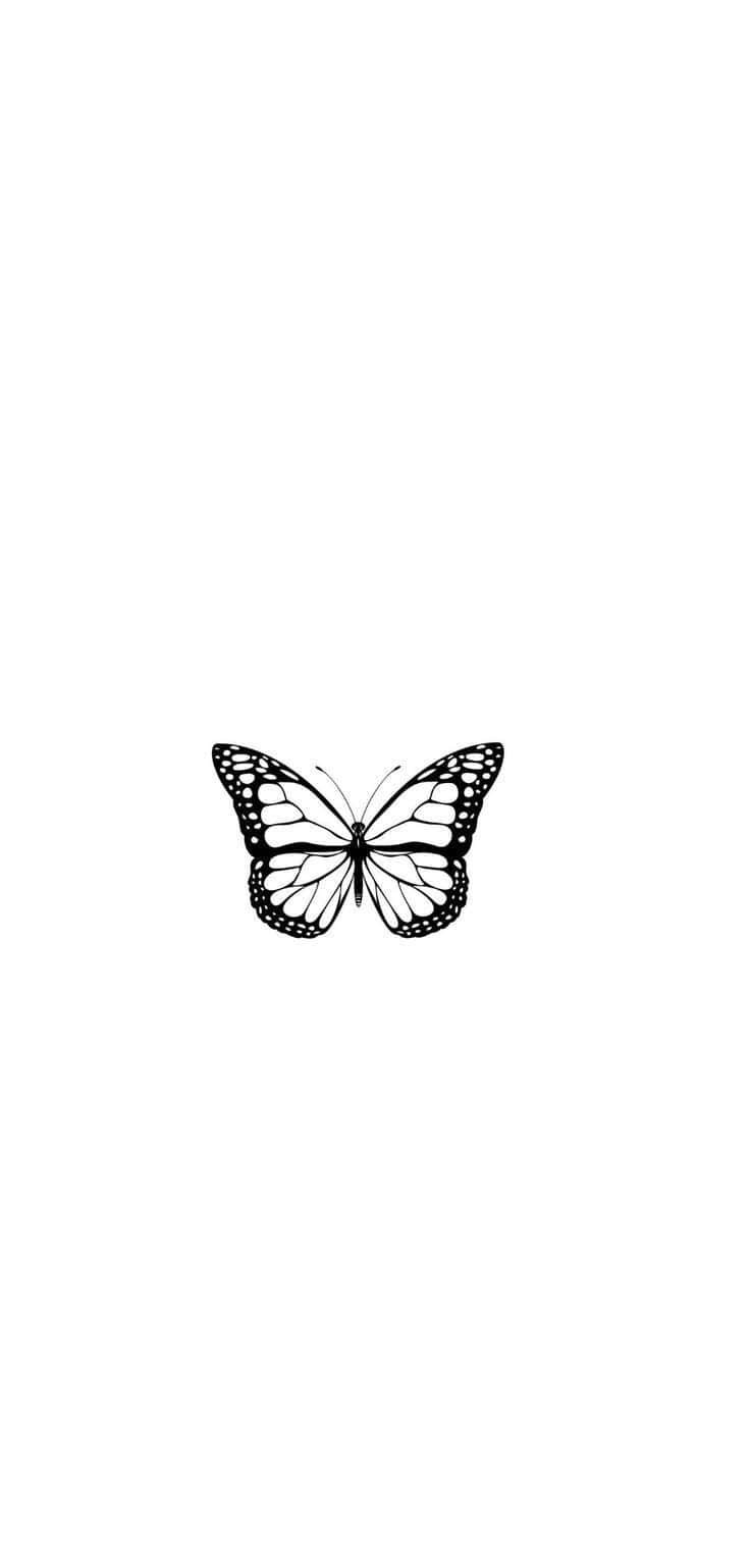 Monochrome Butterfly Illustration Wallpaper