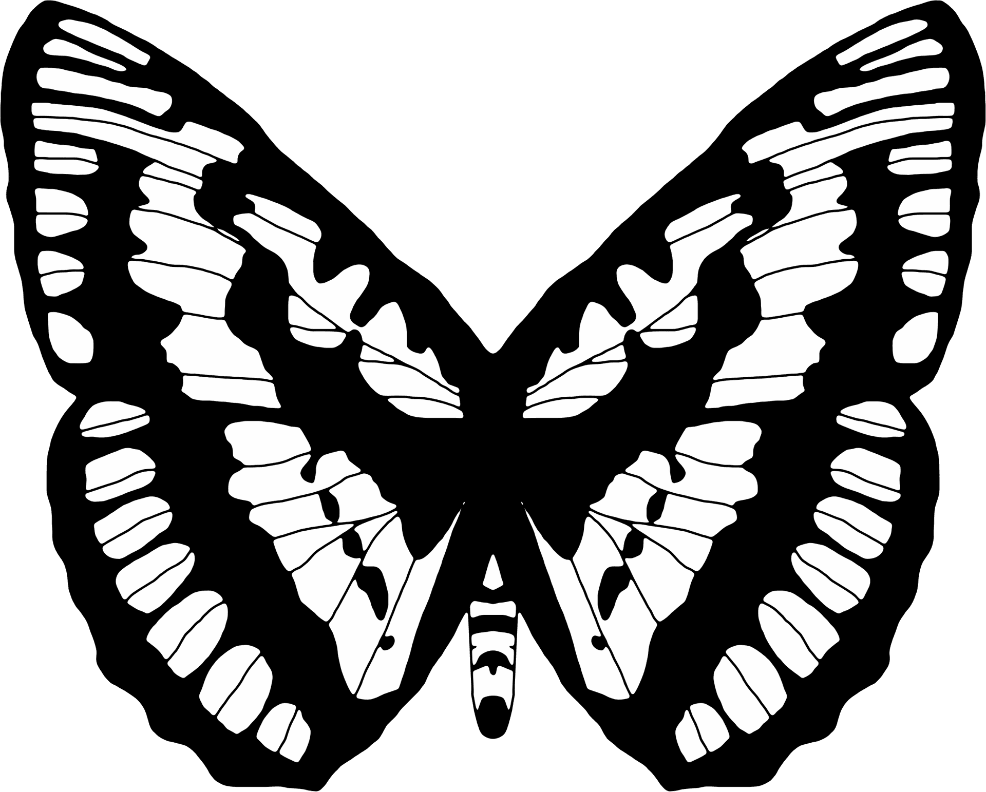 Monochrome Butterfly Illustration.png PNG