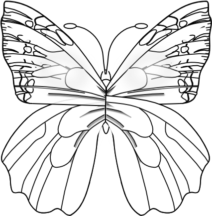 Monochrome Butterfly Illustration.png PNG