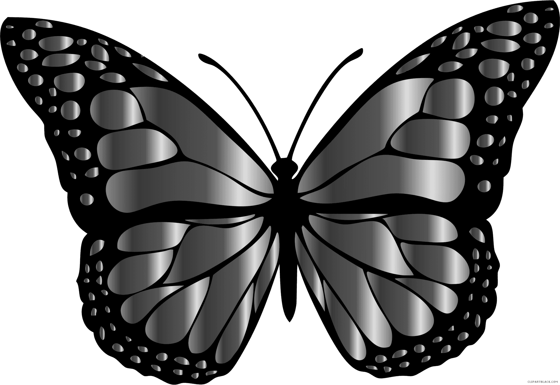 Monochrome Butterfly Illustration PNG