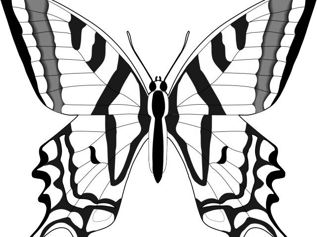 Monochrome Butterfly Outline PNG