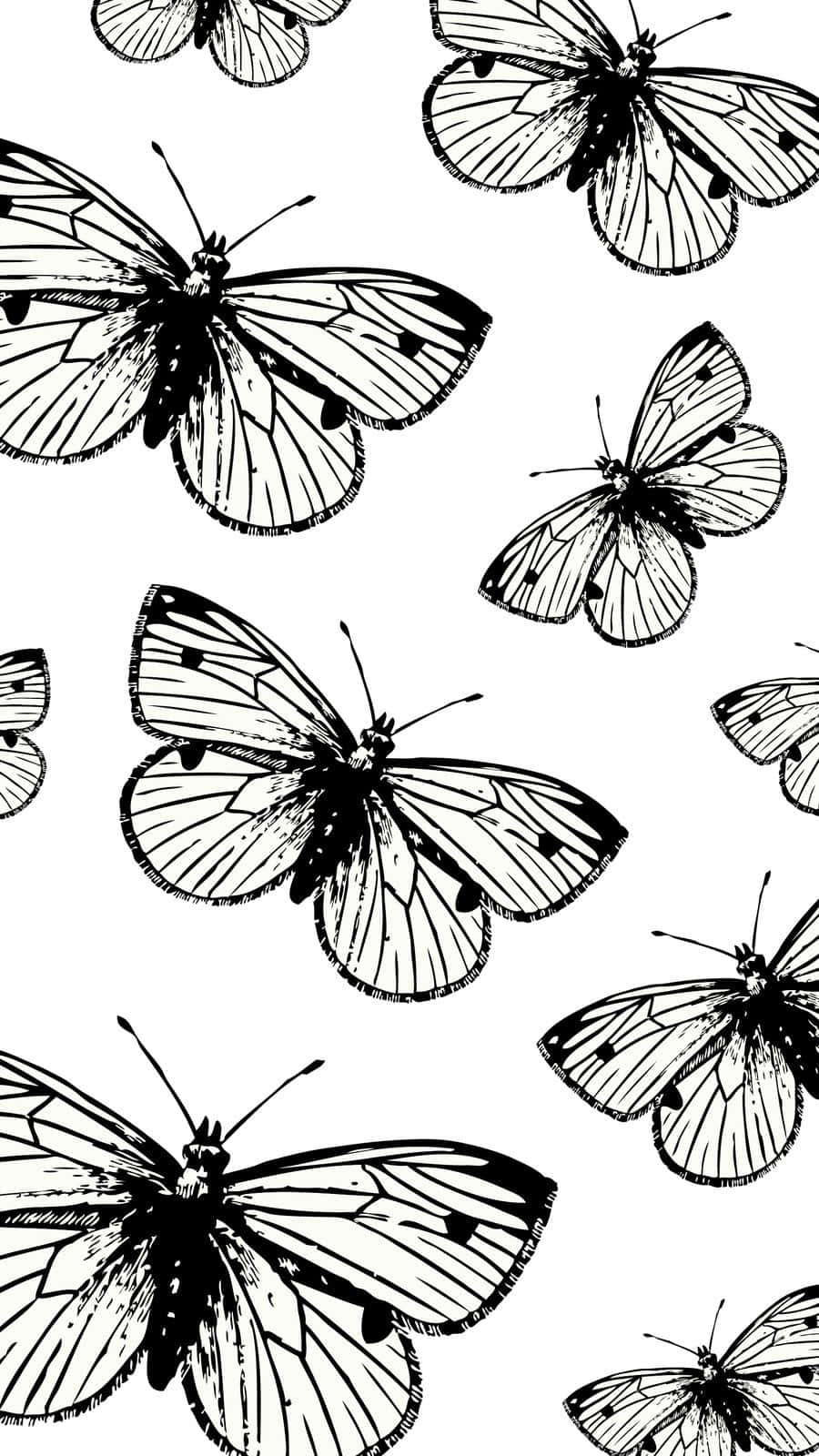 Monochrome Butterfly Pattern Wallpaper