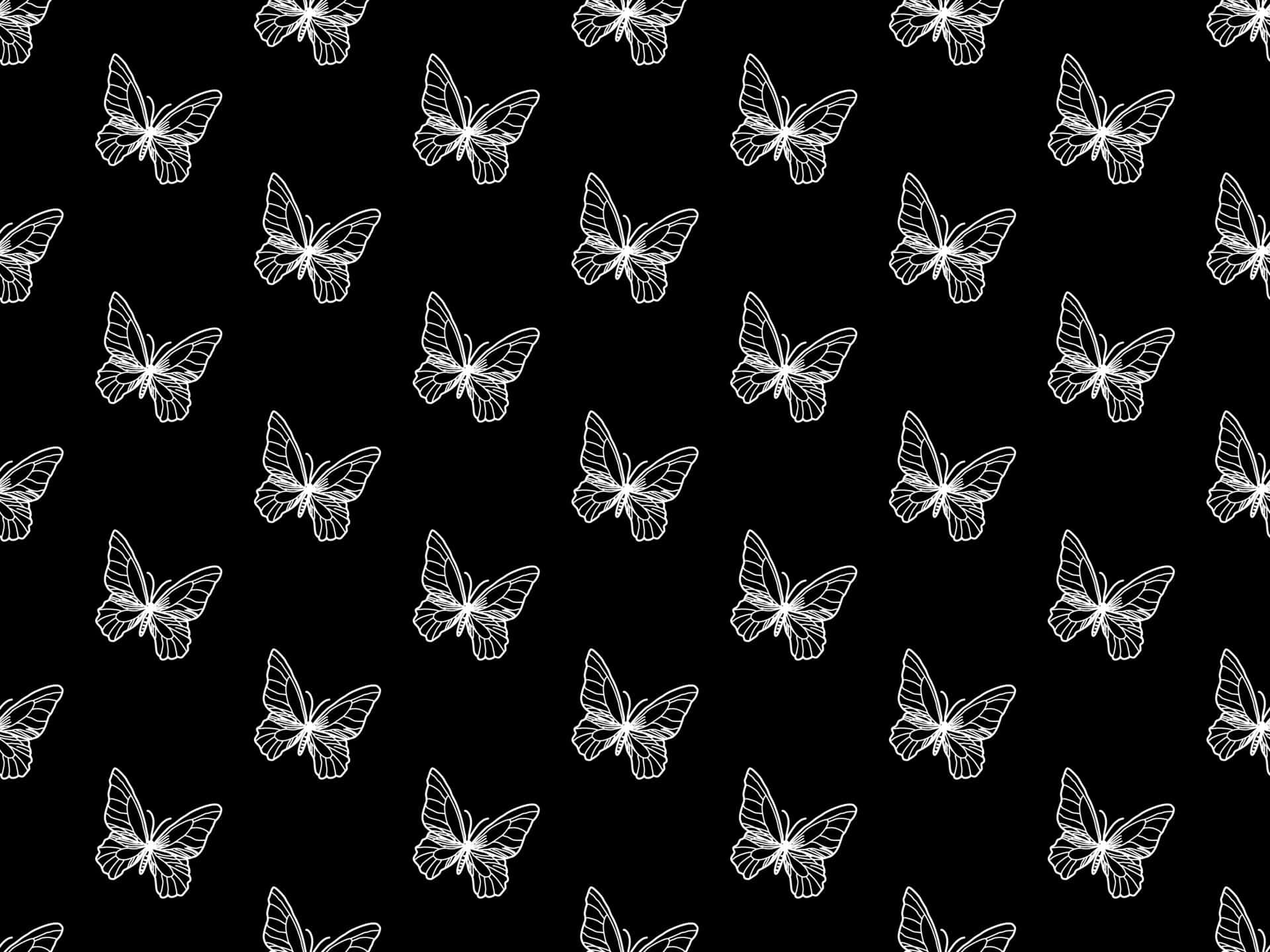 Monochrome_ Butterfly_ Pattern.jpg Wallpaper