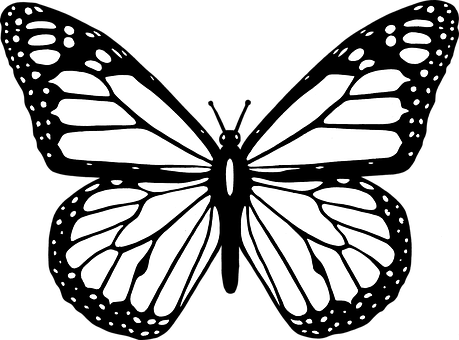Monochrome Butterfly Silhouette PNG