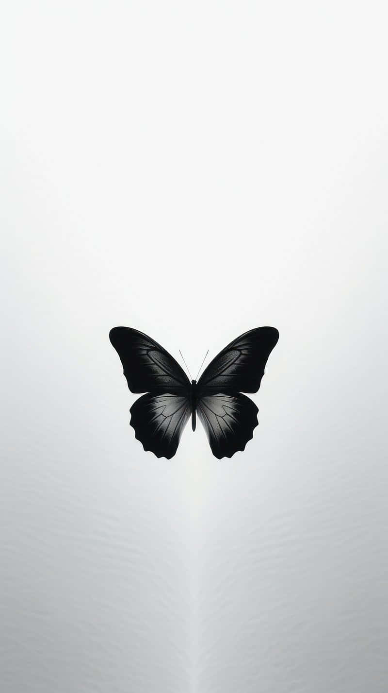 Monochrome Butterfly Silhouette Wallpaper