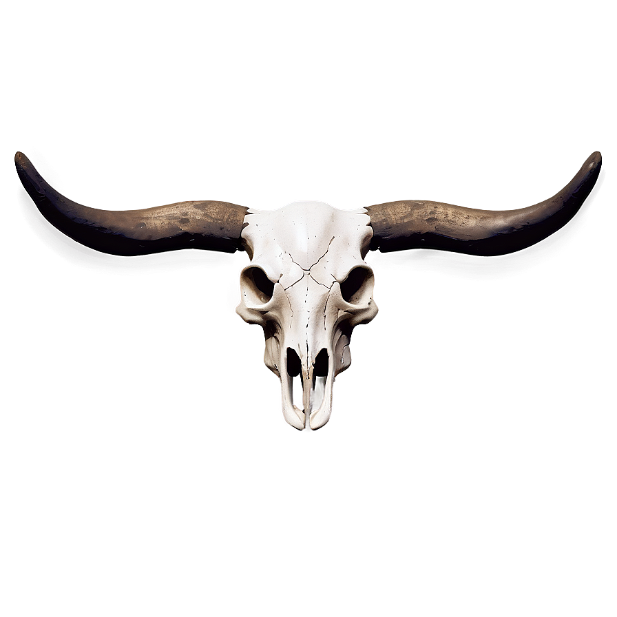 Monochrome Cow Skull Png 06132024 PNG